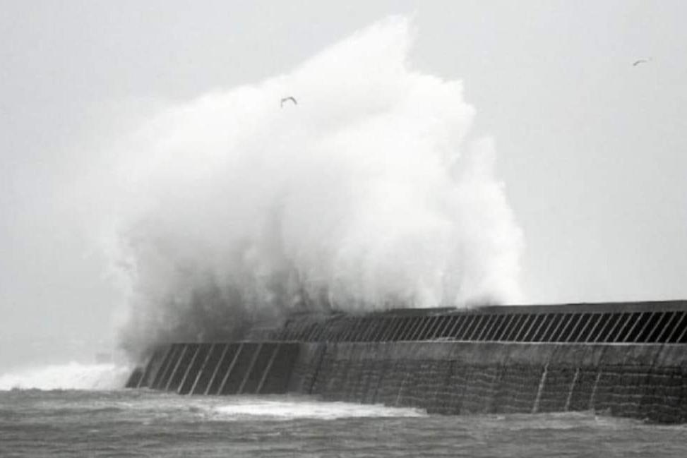 Gites De Teno Bras - L'Ocean Plouharnel Εξωτερικό φωτογραφία